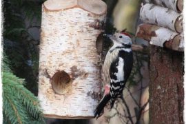 85c4dfb89a43111d7159529483d41e22