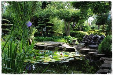 b0a9f0fb968d3f109f382a26066385f7