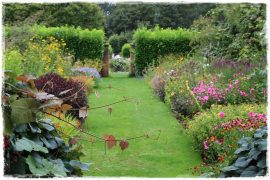 hall farm garden zogrodemnaty1