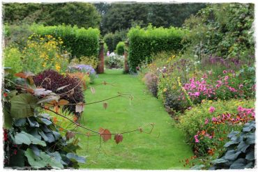 hall farm garden zogrodemnaty1