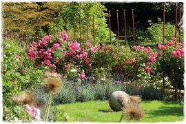 5df939b5465821f056ad1827dadd56e4