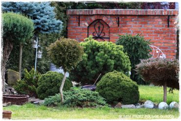 d0b66abe5e0d0c361f89f22dfa986fa8