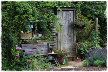 135c8e50e982364d427ece5e611a966a