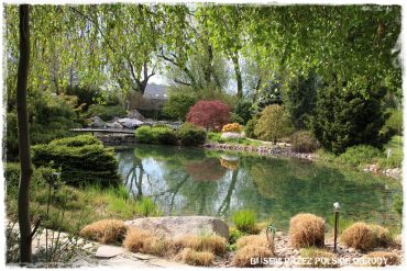 ae98818477f7bfde2b9933d2e9f8ee62