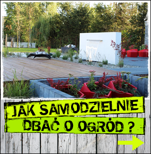 Jak samodzielnie dbać o ogród