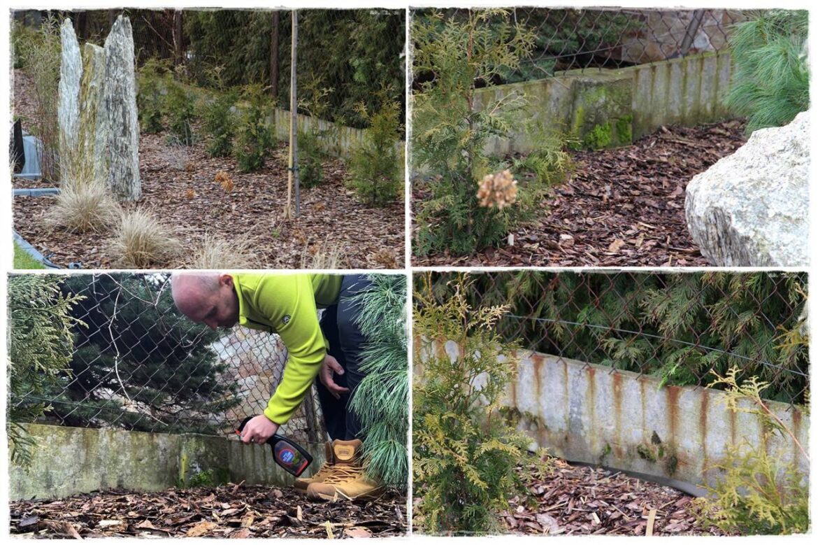 Jak pozbyć się mchu z nawierzchni i ścian