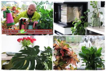 Opryskiwacz Feeria Kwazar