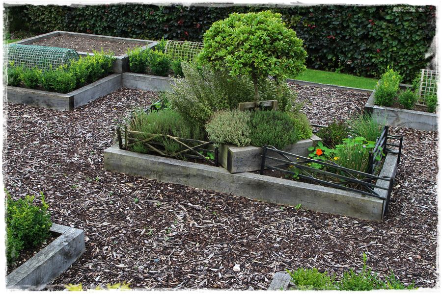 Duze plony z malego warzywnika 7 Duze plony z malego warzywnika 7