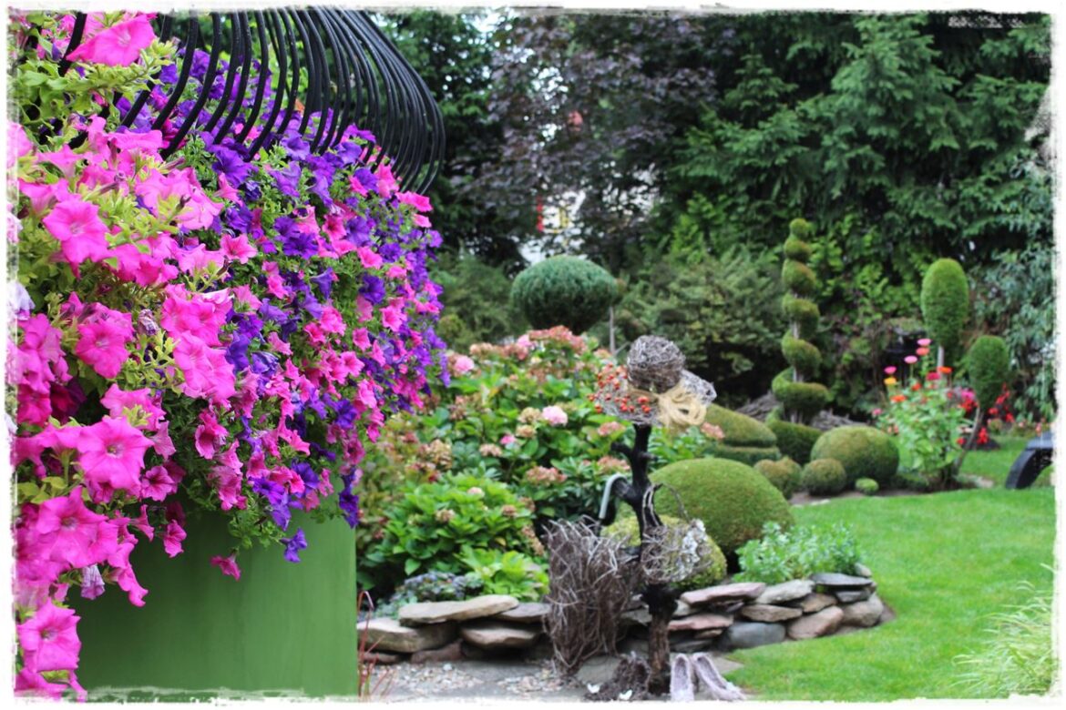 Kwitnace skrzynki za grosze 1