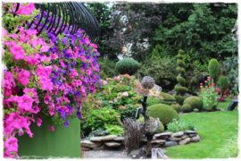 Kwitnace skrzynki za grosze 1