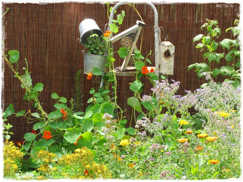 Kwitnace skrzynki za grosze 12