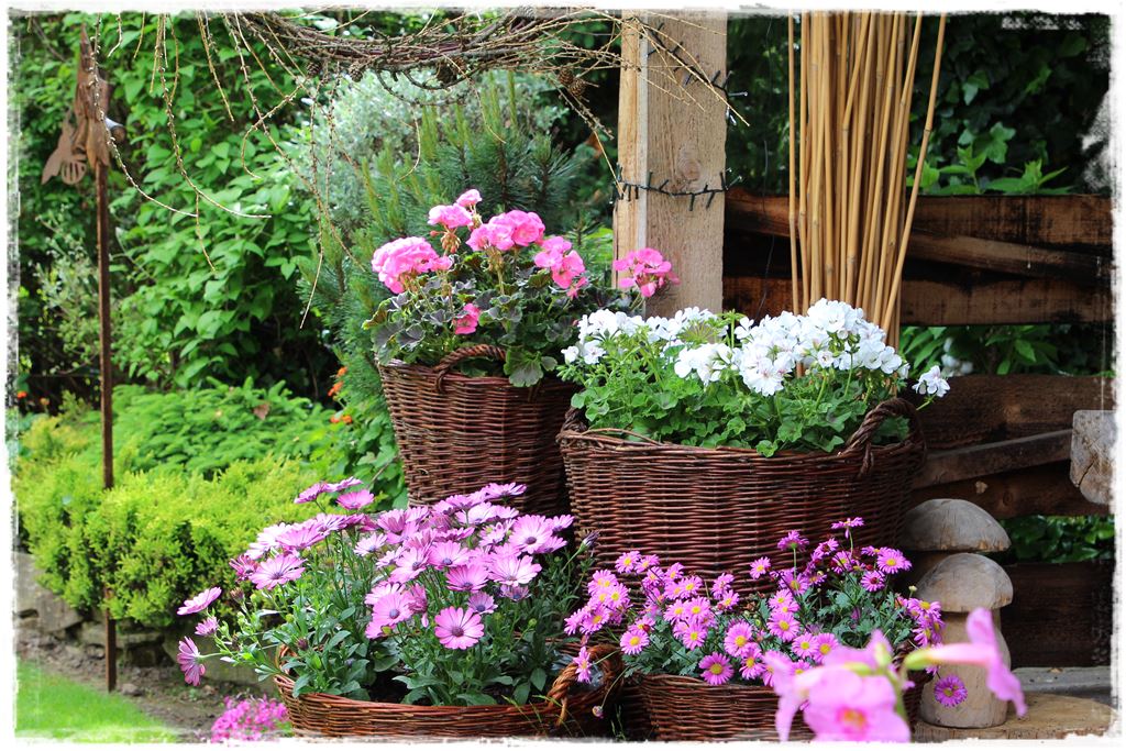 Kwitnace skrzynki za grosze 3