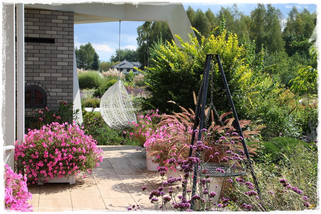 Kwitnace skrzynki za grosze 6