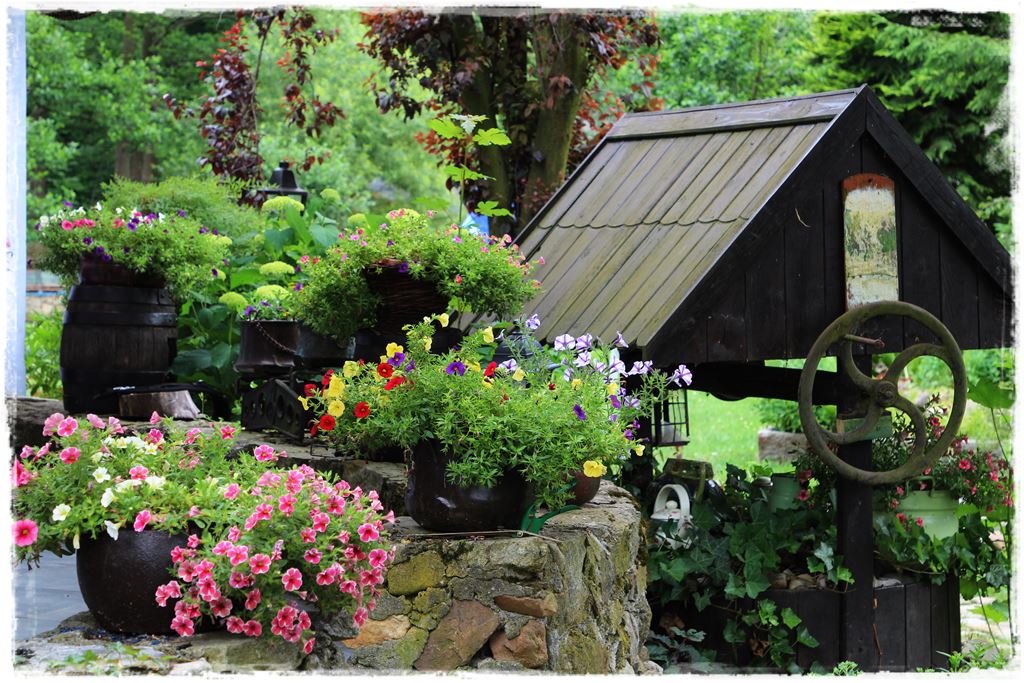 Kwitnace skrzynki za grosze 7