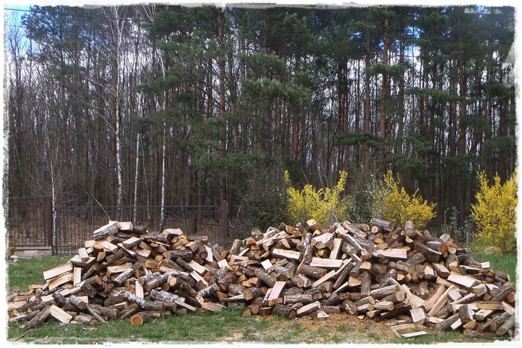 Drewno na ognisko 15