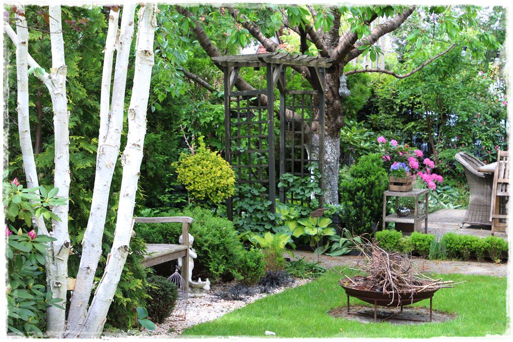 Drewno na ognisko 30