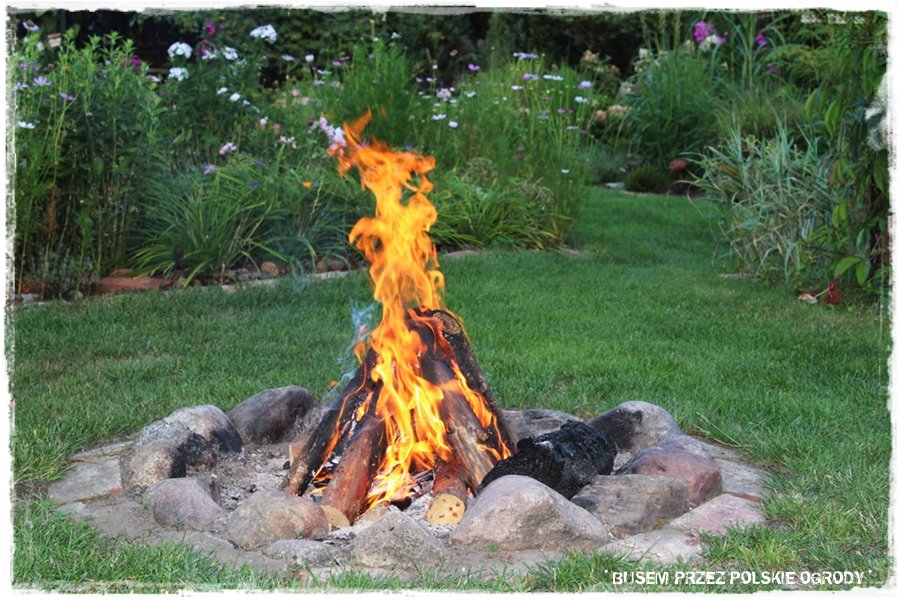 Drewno na ognisko 31