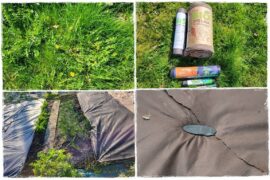 Jak zwalczyc chwasty 1