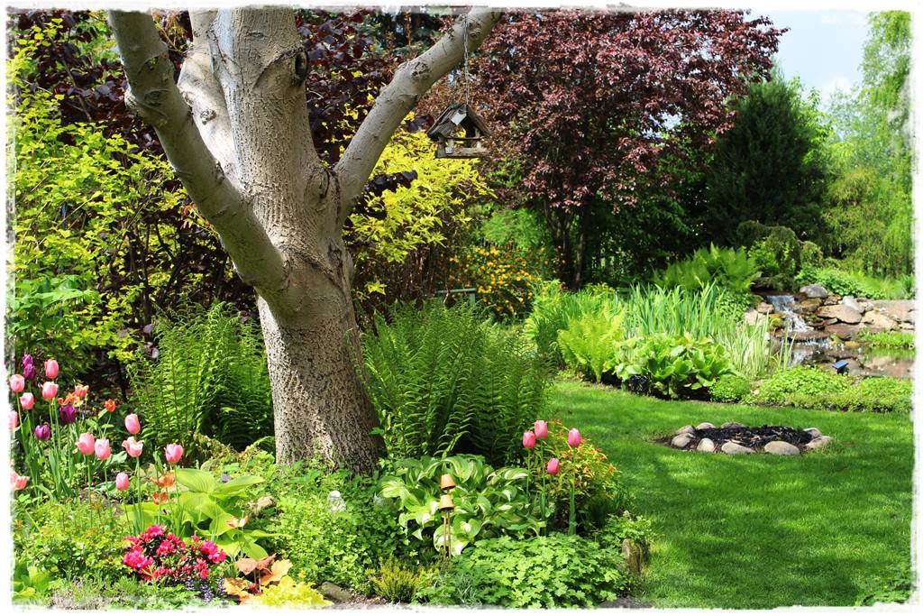 Ognisko w ogrodzie 3 Ognisko w ogrodzie 3