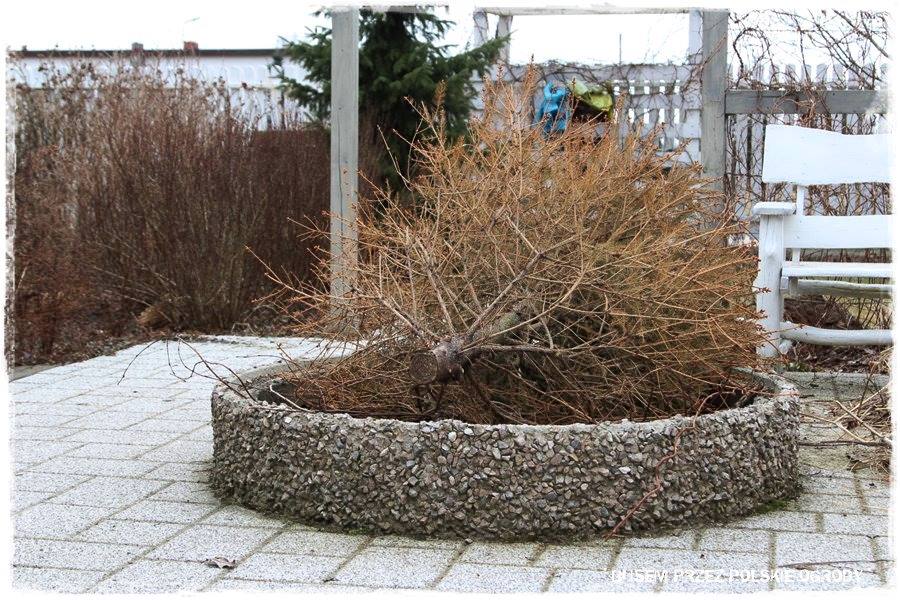 Ognisko w ogrodzie 9 Ognisko w ogrodzie 9