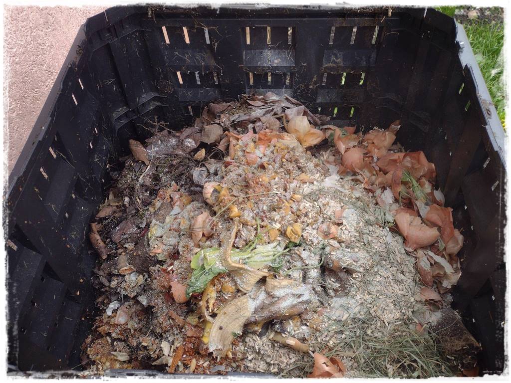 darmowy nawoz 13 darmowy nawoz 13