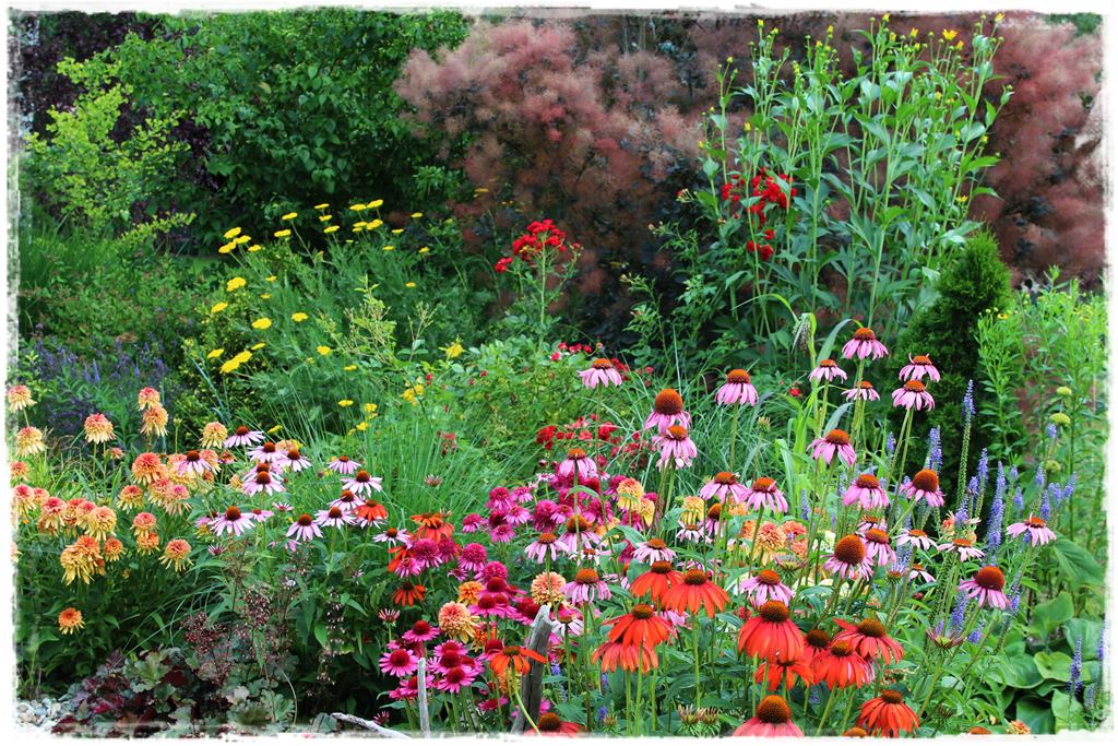 darmowy nawoz 4 darmowy nawoz 4