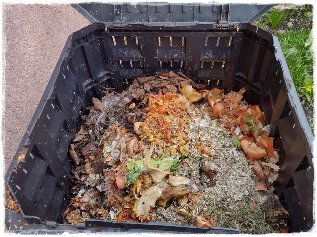 darmowy nawoz 5 darmowy nawoz 5