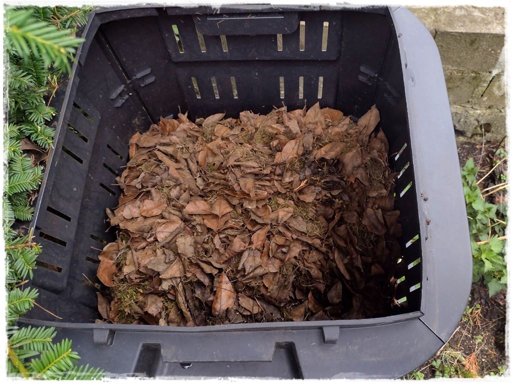 darmowy nawoz 6 darmowy nawoz 6