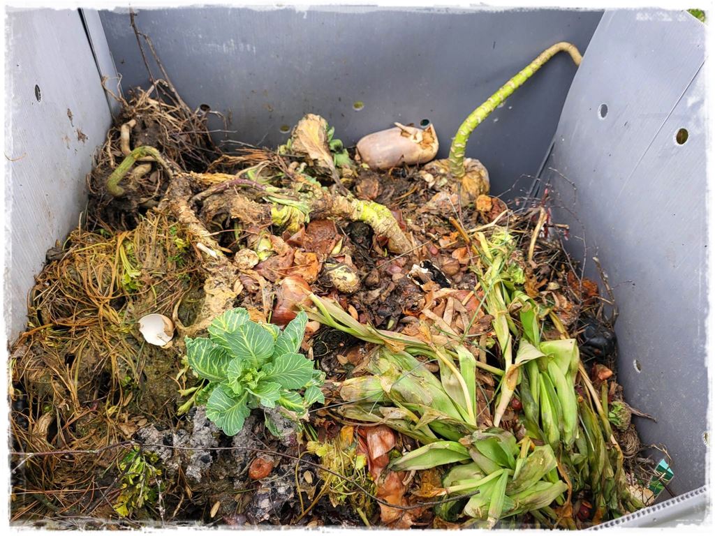 darmowy nawoz 7 darmowy nawoz 7