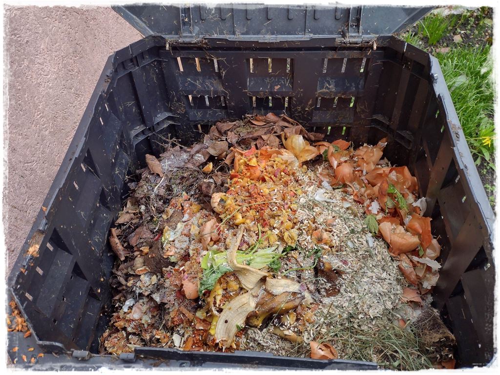 darmowy nawoz 8 darmowy nawoz 8