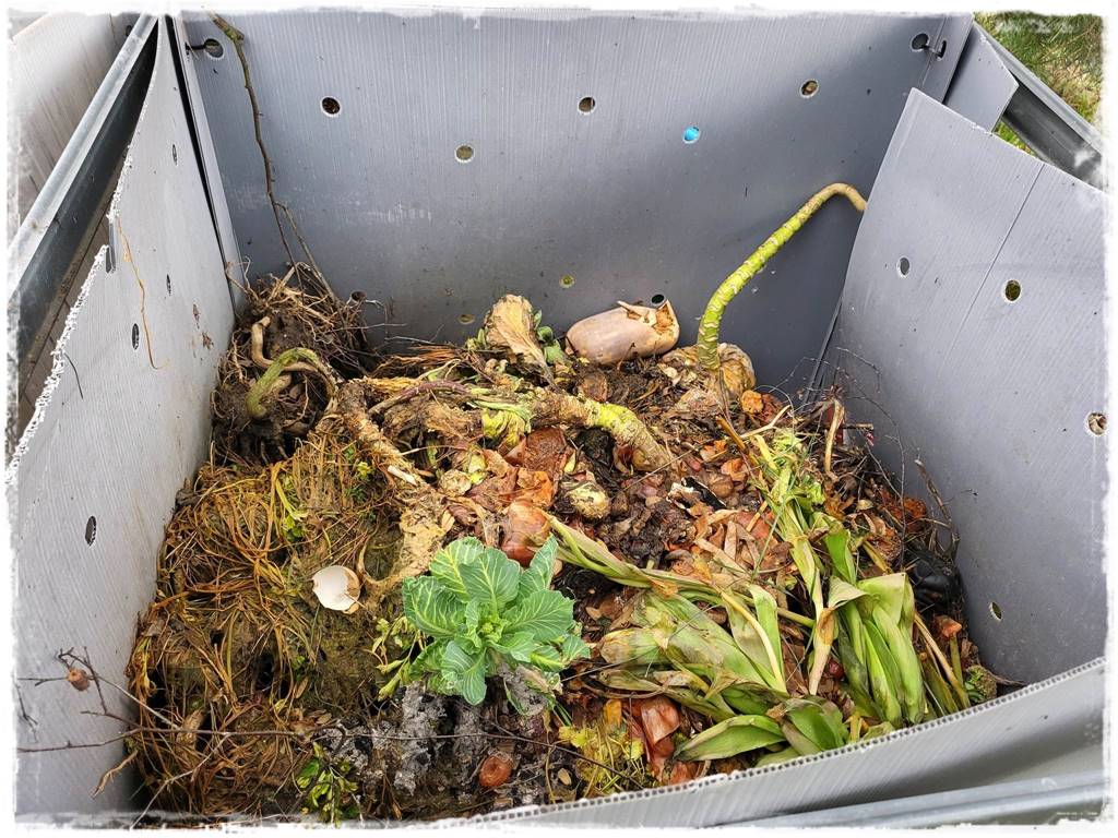 darmowy nawoz 9a darmowy nawoz 9a