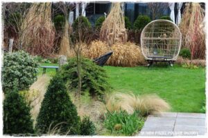 ogrod atrakcyjny caly rok 1 ogrod atrakcyjny caly rok 1