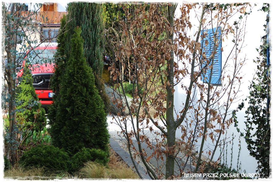 ogrod atrakcyjny caly rok 10 ogrod atrakcyjny caly rok 10