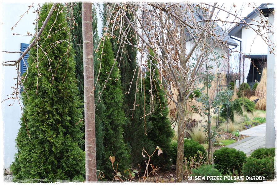 ogrod atrakcyjny caly rok 10a ogrod atrakcyjny caly rok 10a