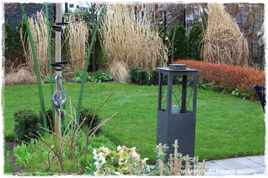 ogrod atrakcyjny caly rok 11a ogrod atrakcyjny caly rok 11a