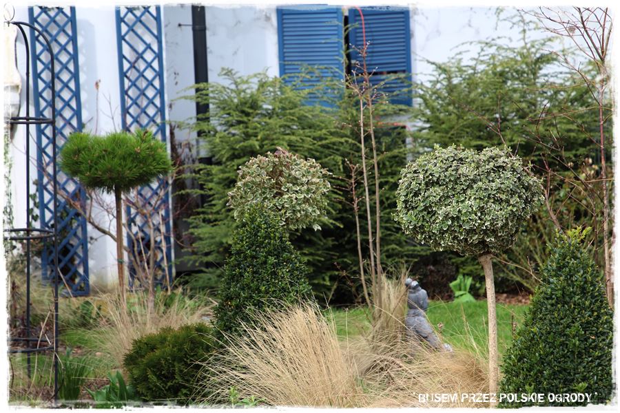 ogrod atrakcyjny caly rok 11d ogrod atrakcyjny caly rok 11d