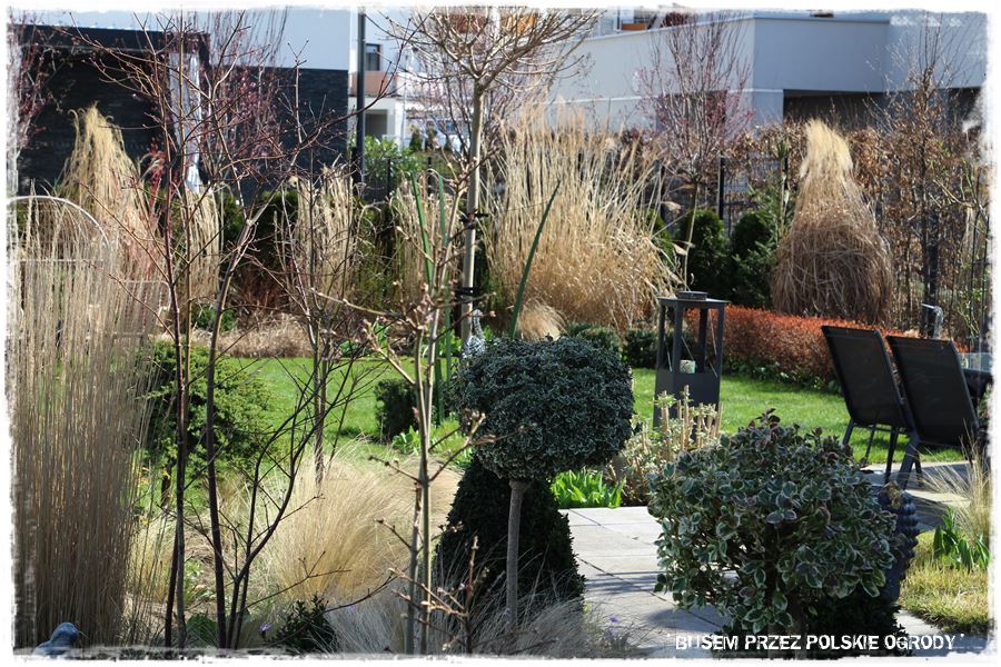 ogrod atrakcyjny caly rok 11e ogrod atrakcyjny caly rok 11e