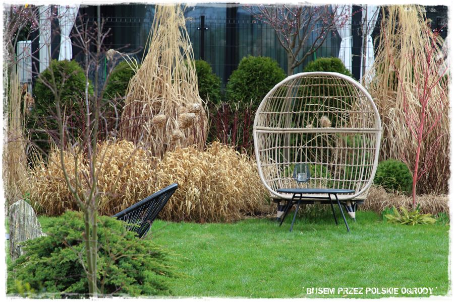 ogrod atrakcyjny caly rok 14a ogrod atrakcyjny caly rok 14a