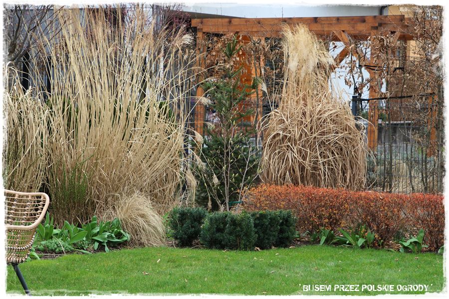 ogrod atrakcyjny caly rok 14c ogrod atrakcyjny caly rok 14c