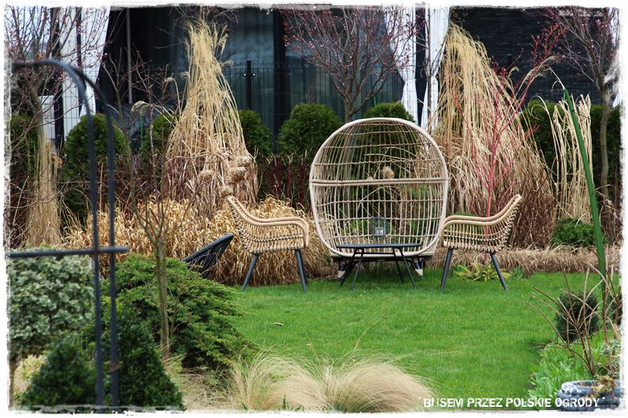 ogrod atrakcyjny caly rok 14d ogrod atrakcyjny caly rok 14d