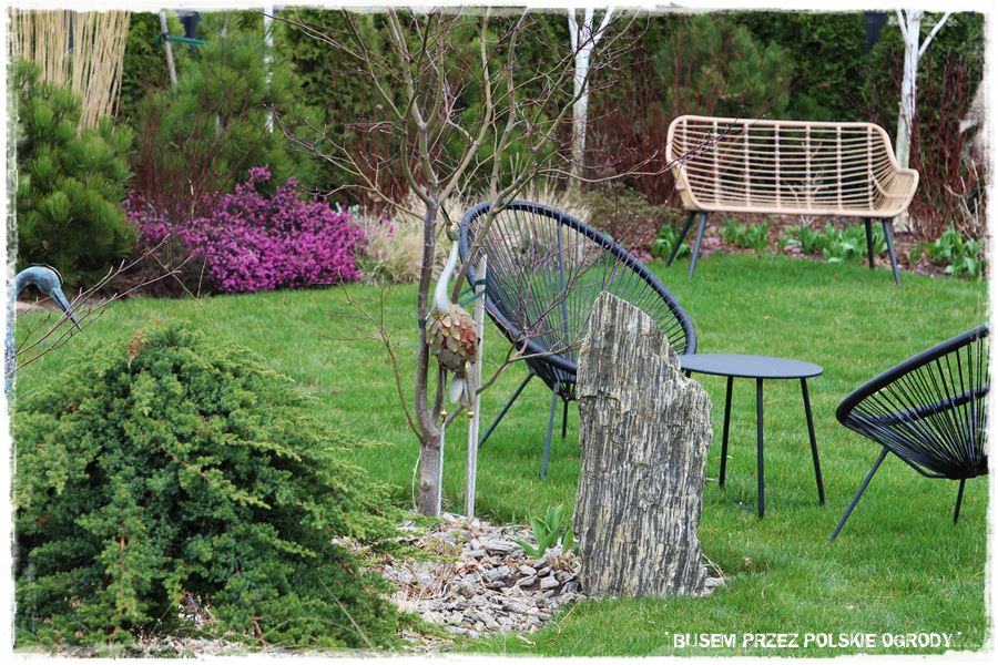 ogrod atrakcyjny caly rok 14e ogrod atrakcyjny caly rok 14e