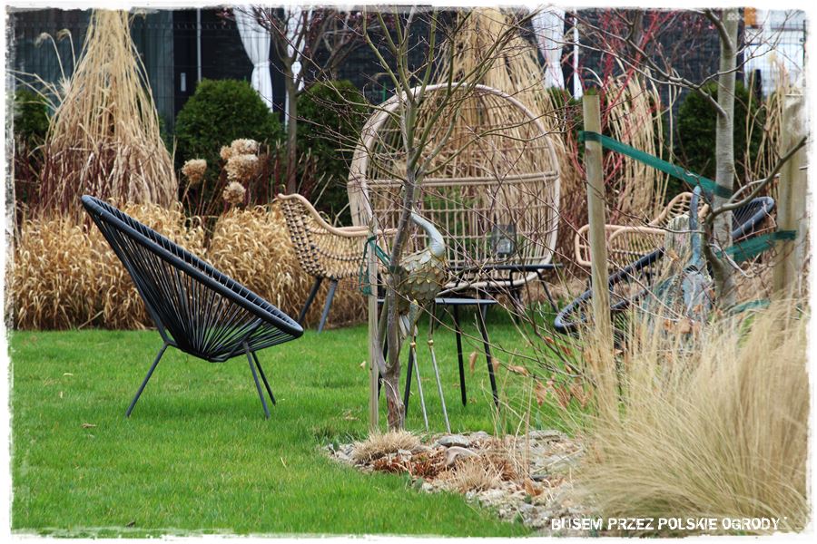 ogrod atrakcyjny caly rok 2 ogrod atrakcyjny caly rok 2