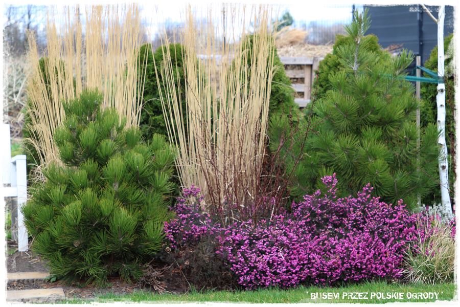 ogrod atrakcyjny caly rok 20 ogrod atrakcyjny caly rok 20