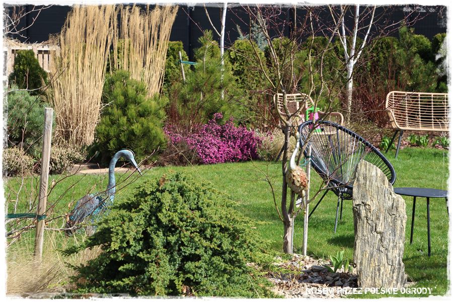 ogrod atrakcyjny caly rok 21 ogrod atrakcyjny caly rok 21