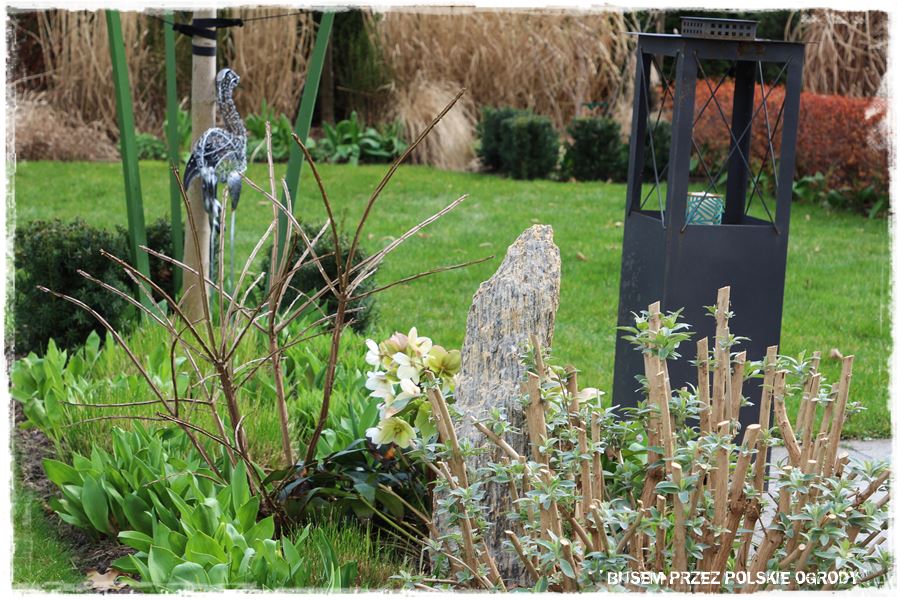 ogrod atrakcyjny caly rok 23a ogrod atrakcyjny caly rok 23a