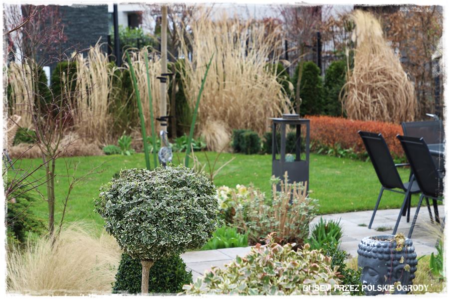 ogrod atrakcyjny caly rok 23c ogrod atrakcyjny caly rok 23c