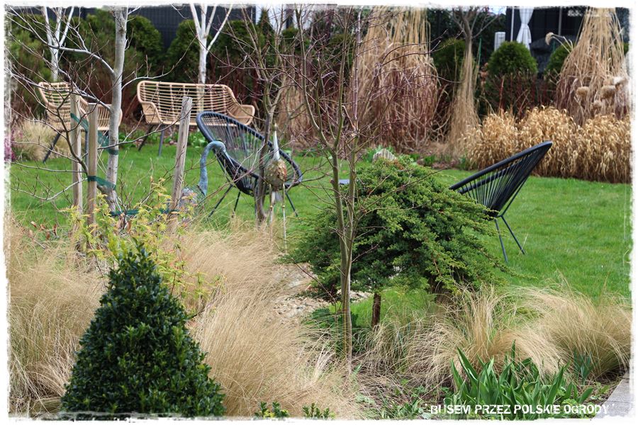 ogrod atrakcyjny caly rok 25 ogrod atrakcyjny caly rok 25