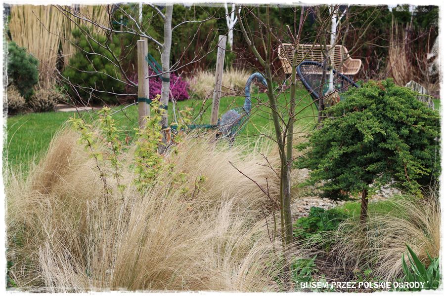 ogrod atrakcyjny caly rok 26 ogrod atrakcyjny caly rok 26