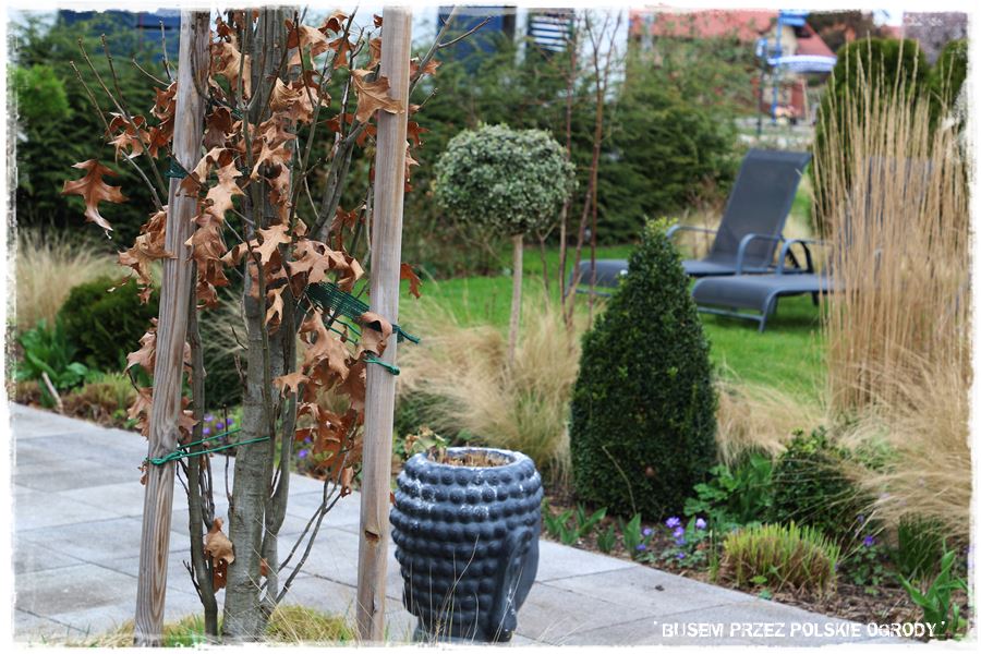 ogrod atrakcyjny caly rok 26a ogrod atrakcyjny caly rok 26a