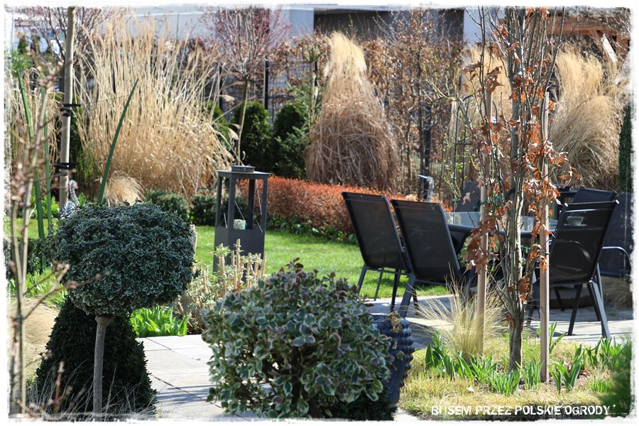 ogrod atrakcyjny caly rok 27a ogrod atrakcyjny caly rok 27a